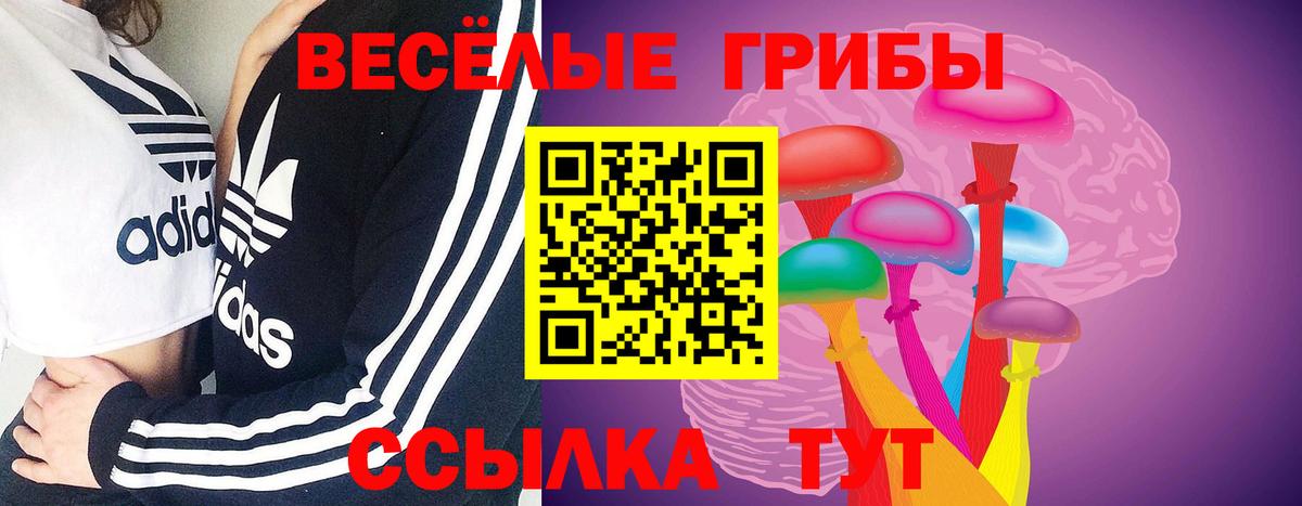 Псилоцибиновые грибы GOLDEN TEACHER Батайск